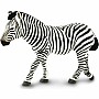 Wildlife Wonders Zebra
