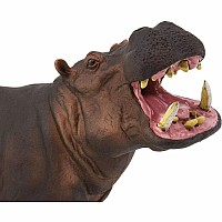 Hippopotamus Toy