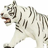 White Siberian Tiger