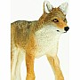 Wildlife Wonders North American Coyote