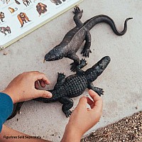 Alligator 