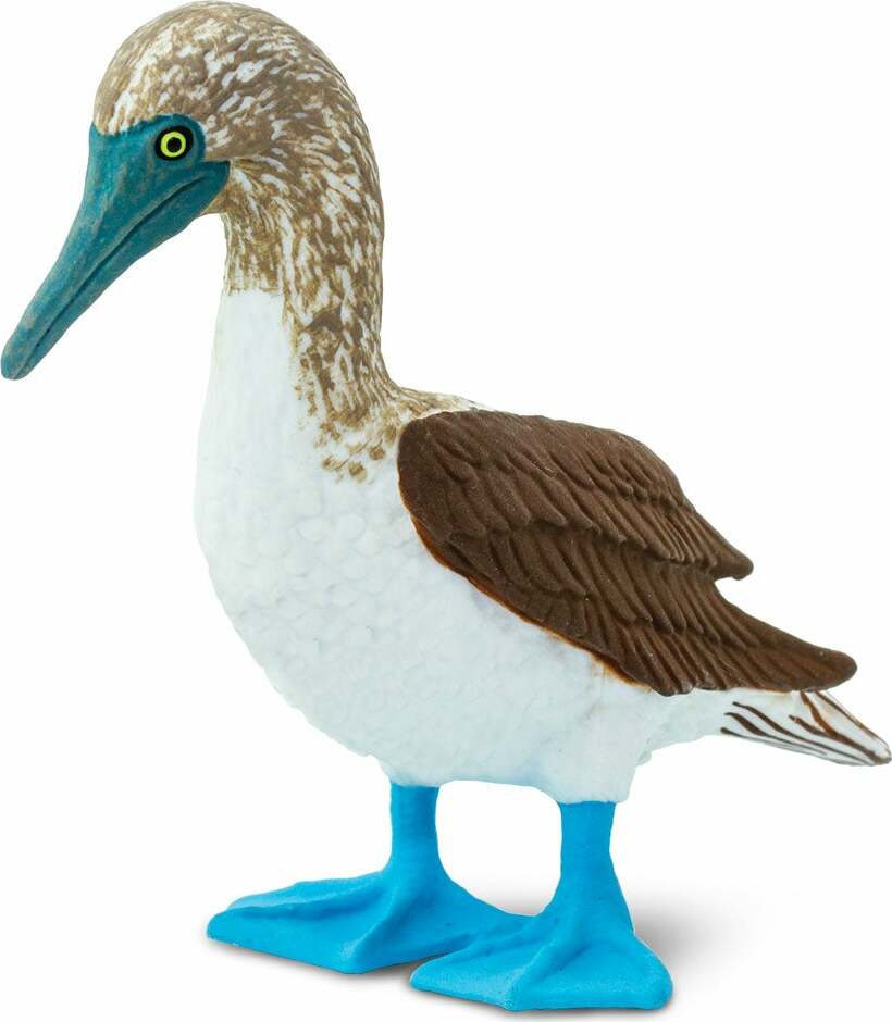 stuffed blue footed booby