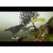 Raven