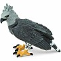 Bird: Harpy Eagle