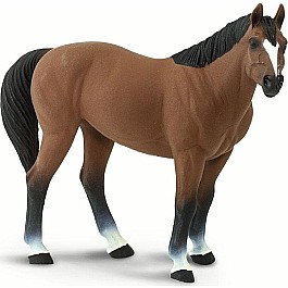 Quarter Horse Brown