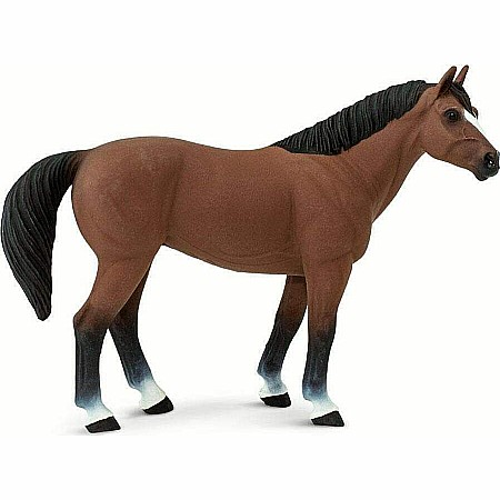 Quarter Horse Brown