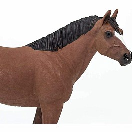 Quarter Horse Brown