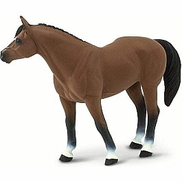 Quarter Horse Brown