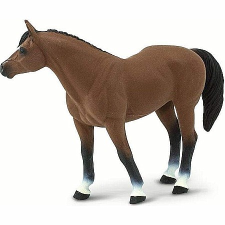 Quarter Horse Brown