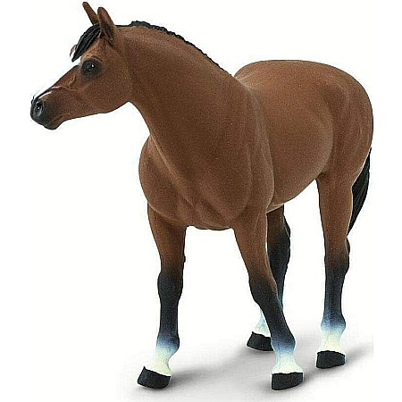 Quarter Horse Brown