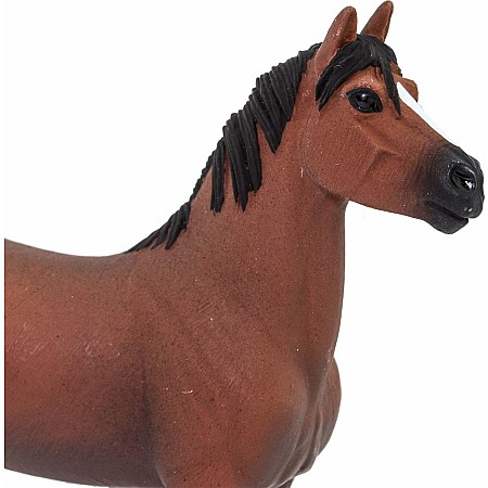 Morgan Stallion Toy