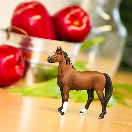 Morgan Stallion Toy