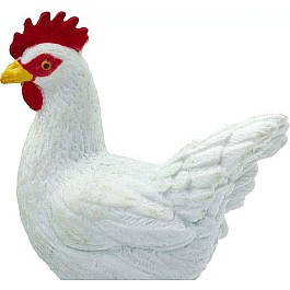 Chicken Toy