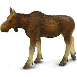 Cow Moose