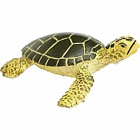 Green Sea Turtle Baby Toy