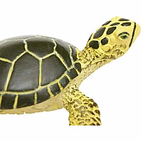 Green Sea Turtle Baby Toy