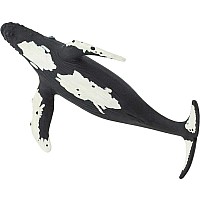 Humpback Whale Toy