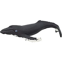 Humpback Whale Toy