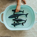 Humpback Whale Toy