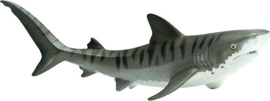 Tiger Shark - Teaching Toys and Books