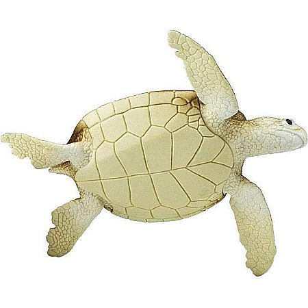 Green Sea Turtle Toy