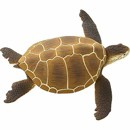 Green Sea Turtle Toy