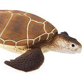 Green Sea Turtle Toy