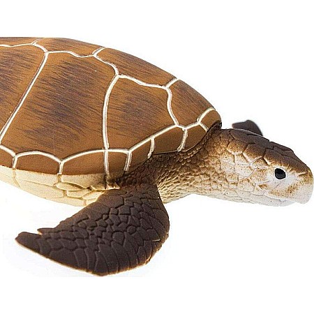 Green Sea Turtle Toy