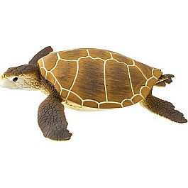 Green Sea Turtle Toy