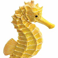 Seahorse Toy