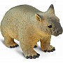 Wild: Wombat