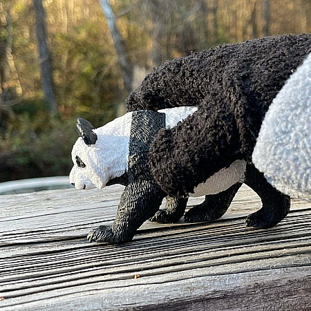 Panda Toy