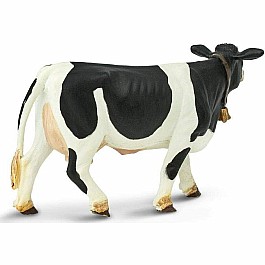 holstein cow