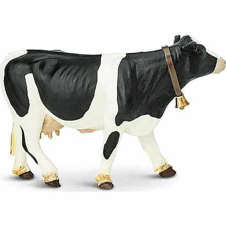 holstein cow