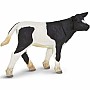 Farm Holstein Calf
