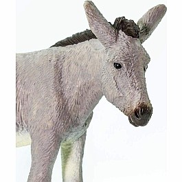 Donkey Toy