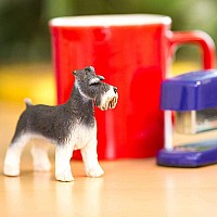 Schnauzer