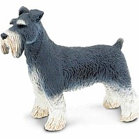 Schnauzer