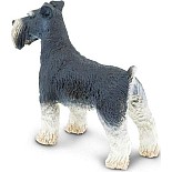 Schnauzer