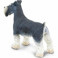 Schnauzer