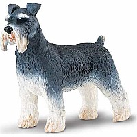 Schnauzer