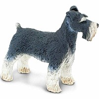 Schnauzer