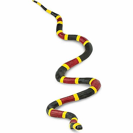 Coral Snake