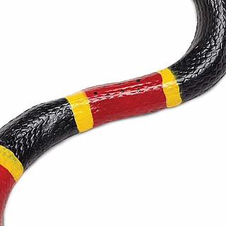 Coral Snake 23 Inch