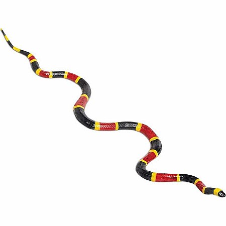 Coral Snake