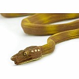 Amazon Tree Boa Toy Snake