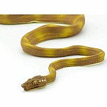Amazon Tree Boa Toy Snake
