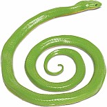 Rough Green Snake