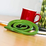 Rough Green Snake