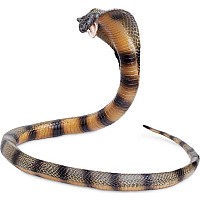 Incred Crea Cobra